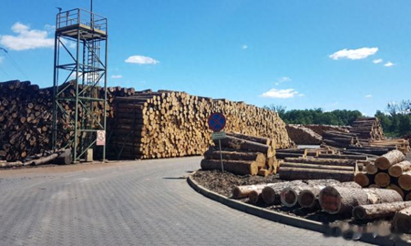 配资网站排名 波兰砍伐令引爆木材危机! 中国供应链遭重创, 270个岗位悬了?